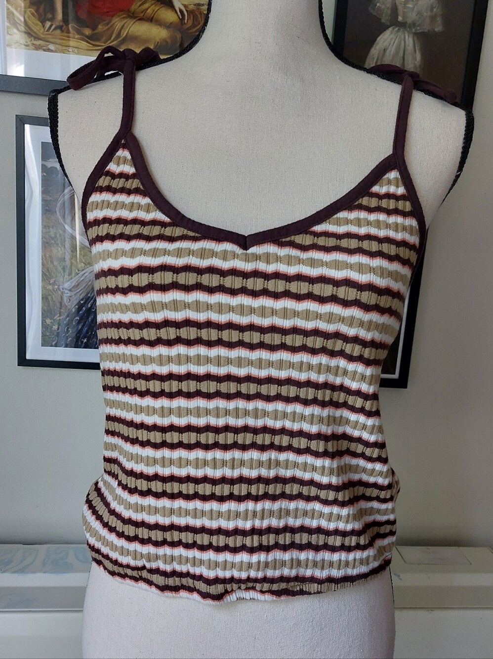 Retro Inspired Crop Top